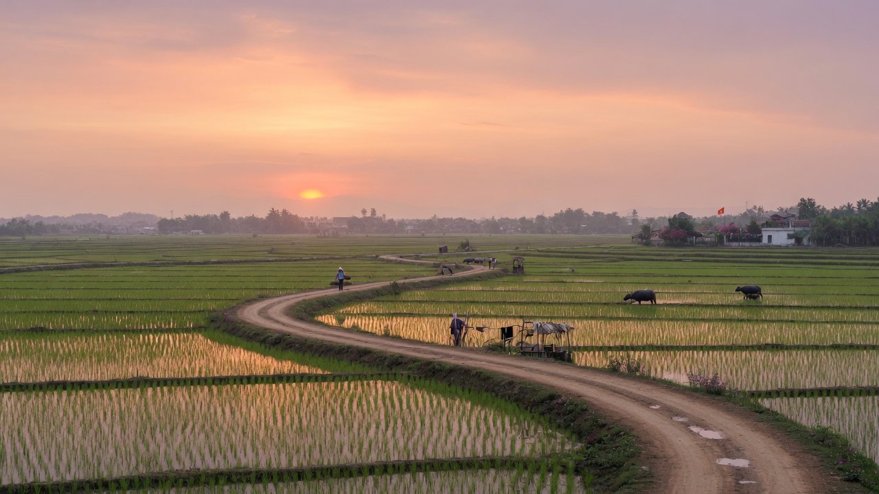 Winding countryside road through rice fields near Hanoi